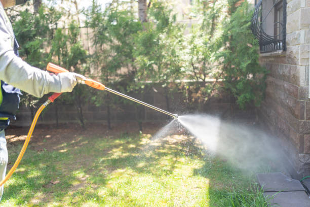 Lawn Pest Control in Glenshaw, PA